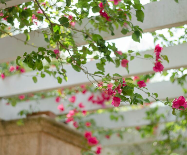 The Low-Maintenance Appeal of Composite Trellis Panels