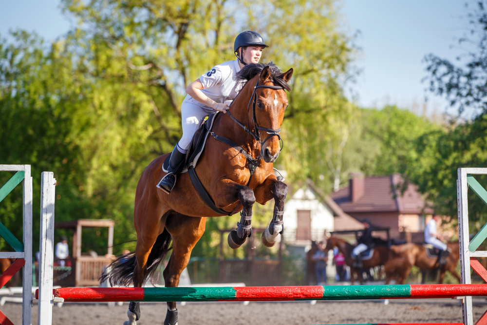Why Riders Prefer High-Performance Equestrian Show Shirts?