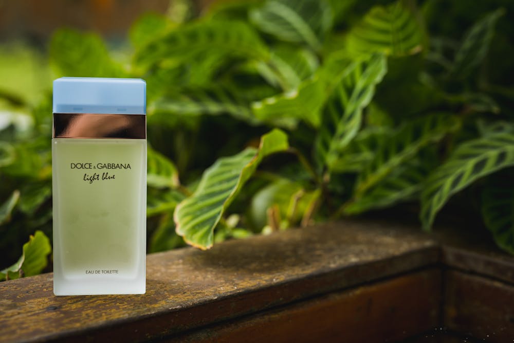 The Allure of DOLCE&GABBANA perfume