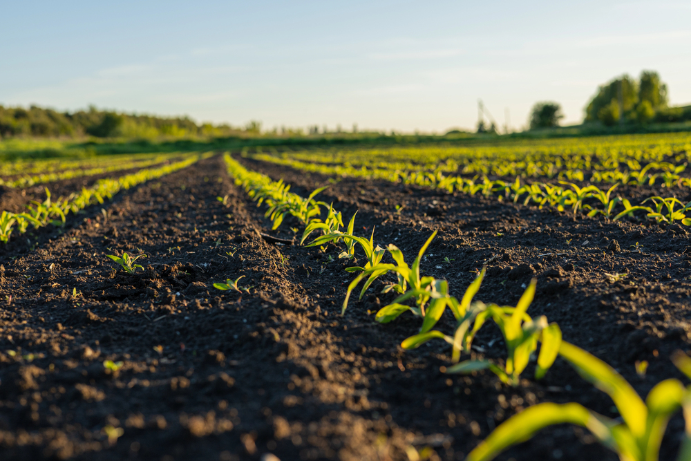 The Dark Side of ‘Green’ Agriculture: How Chemical Exposure Still Threatens Farmworkers