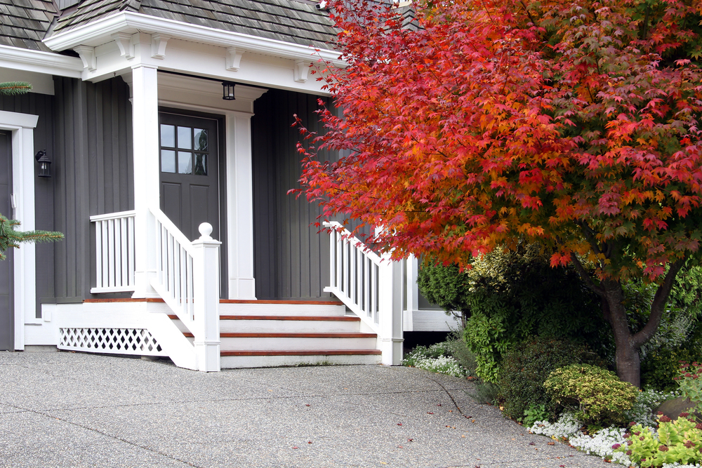 Choosing the Right Door Material: Wood, Composite or Steel?