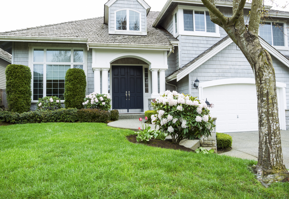 Choosing the Right Door Material: Wood, Composite or Steel?