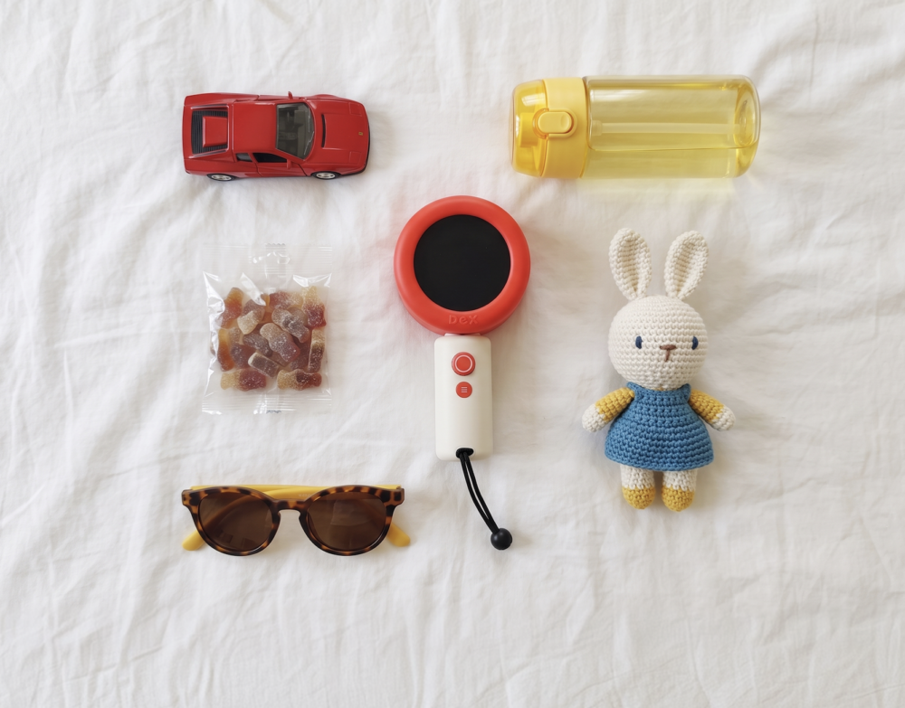 Dex Camera Review: Could This Little Camera Help Your Preschooler Learn a New Language Through Play?