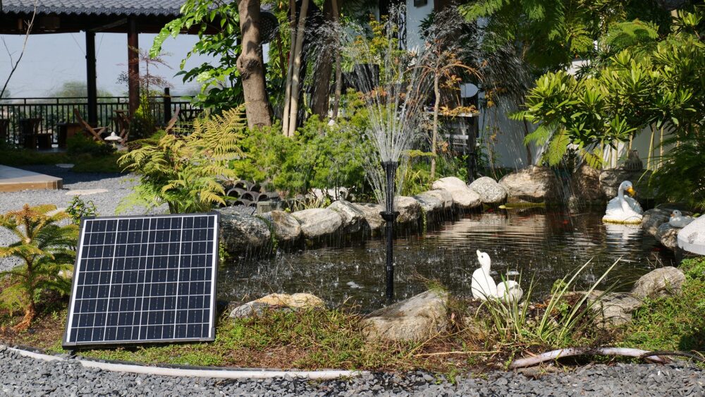 The Real Formula for a Balanced Pond: Fish, Plants, and Flow