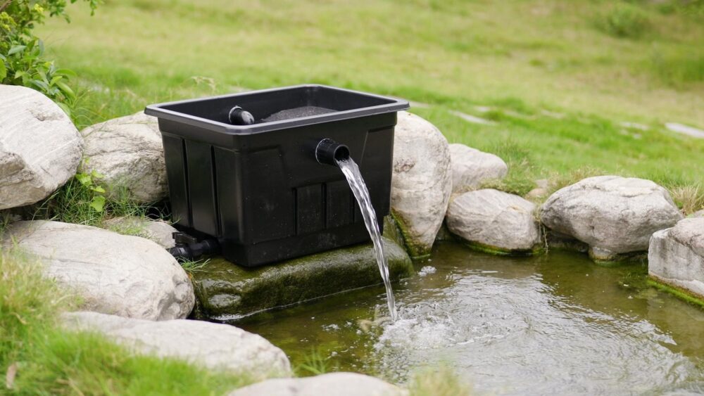Formula for a Balanced Pond: Fish, Plants, and Flow