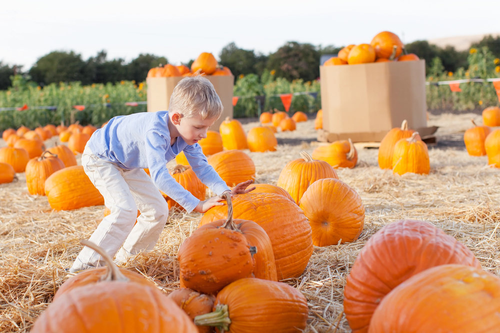 Stop Cramming Halloween Into One Night: A Parent's Guide to a Full October
